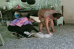 ฉีดวัคซีนป้องกันโรคพิษสุนัขบ้าให้กับสุนัขและแมว ในเขตพื้นที่