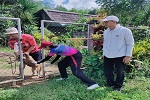 ฉีดวัคซีนป้องกันโรคพิษสุนัขบ้าในเขตพื้นที่ หมู่ที่ 11 และ9